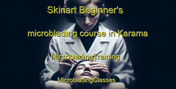Skinart Beginner's microblading course in Karama | MicrobladingTraining | MicrobladingClasses | SkinartTraining-Australia