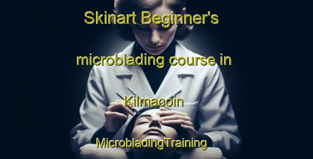 Skinart Beginner's microblading course in Kilmacoin | MicrobladingTraining | MicrobladingClasses | SkinartTraining-Australia