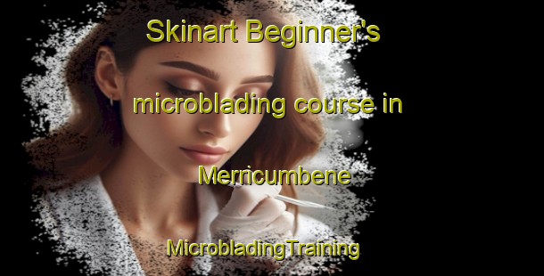 Skinart Beginner's microblading course in Merricumbene | MicrobladingTraining | MicrobladingClasses | SkinartTraining-Australia