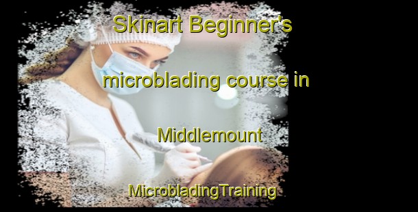 Skinart Beginner's microblading course in Middlemount | MicrobladingTraining | MicrobladingClasses | SkinartTraining-Australia
