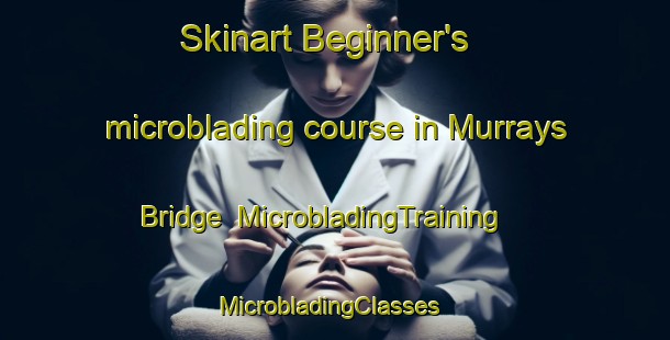 Skinart Beginner's microblading course in Murrays Bridge | MicrobladingTraining | MicrobladingClasses | SkinartTraining-Australia