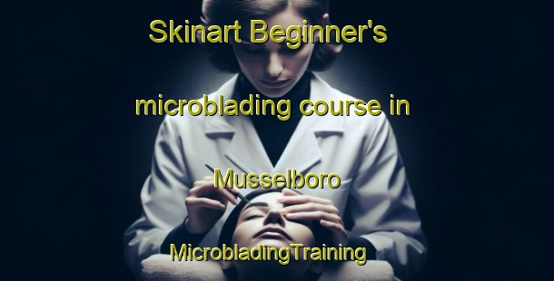 Skinart Beginner's microblading course in Musselboro | MicrobladingTraining | MicrobladingClasses | SkinartTraining-Australia