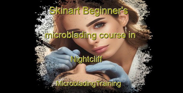 Skinart Beginner's microblading course in Nightcliff | MicrobladingTraining | MicrobladingClasses | SkinartTraining-Australia