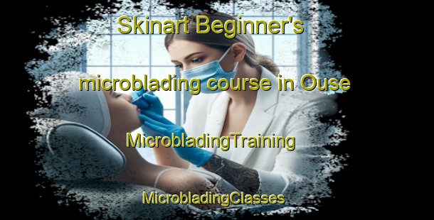 Skinart Beginner's microblading course in Ouse | MicrobladingTraining | MicrobladingClasses | SkinartTraining-Australia