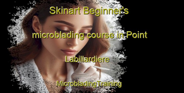 Skinart Beginner's microblading course in Point Labillardiere | MicrobladingTraining | MicrobladingClasses | SkinartTraining-Australia