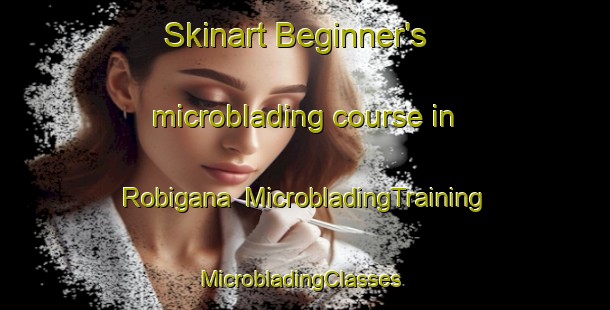 Skinart Beginner's microblading course in Robigana | MicrobladingTraining | MicrobladingClasses | SkinartTraining-Australia