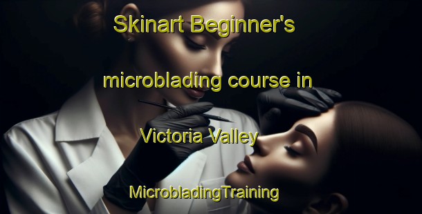 Skinart Beginner's microblading course in Victoria Valley | MicrobladingTraining | MicrobladingClasses | SkinartTraining-Australia
