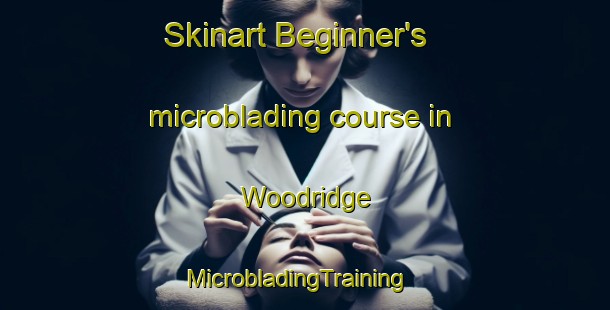 Skinart Beginner's microblading course in Woodridge | MicrobladingTraining | MicrobladingClasses | SkinartTraining-Australia