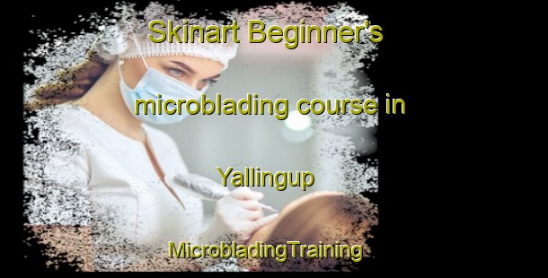 Skinart Beginner's microblading course in Yallingup | MicrobladingTraining | MicrobladingClasses | SkinartTraining-Australia