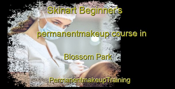 Skinart Beginner's permanentmakeup course in Blossom Park | PermanentmakeupTraining | PermanentmakeupClasses | SkinartTraining-Australia