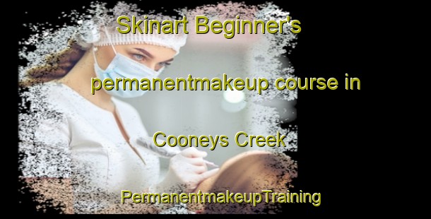 Skinart Beginner's permanentmakeup course in Cooneys Creek | PermanentmakeupTraining | PermanentmakeupClasses | SkinartTraining-Australia
