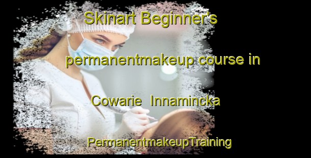 Skinart Beginner's permanentmakeup course in Cowarie  Innamincka | PermanentmakeupTraining | PermanentmakeupClasses | SkinartTraining-Australia