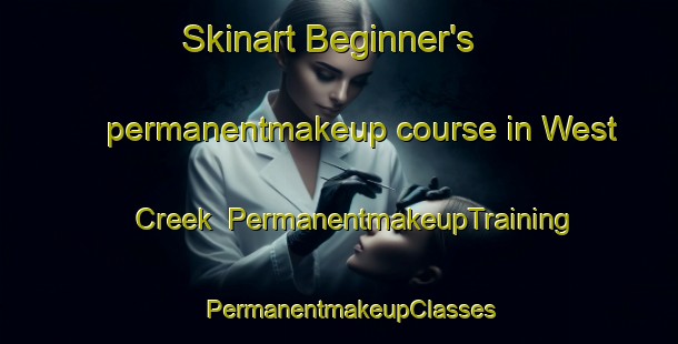Skinart Beginner's permanentmakeup course in West Creek | PermanentmakeupTraining | PermanentmakeupClasses | SkinartTraining-Australia
