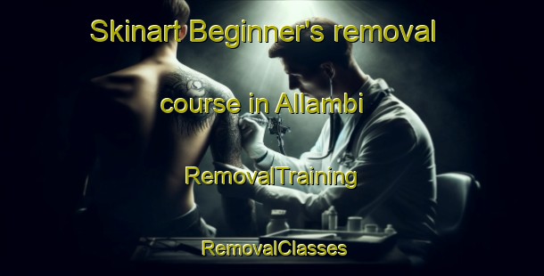 Skinart Beginner's removal course in Allambi | RemovalTraining | RemovalClasses | SkinartTraining-Australia