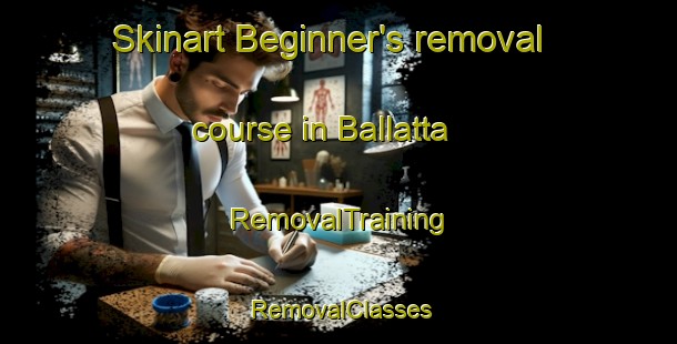 Skinart Beginner's removal course in Ballatta | RemovalTraining | RemovalClasses | SkinartTraining-Australia