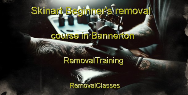 Skinart Beginner's removal course in Bannerton | RemovalTraining | RemovalClasses | SkinartTraining-Australia