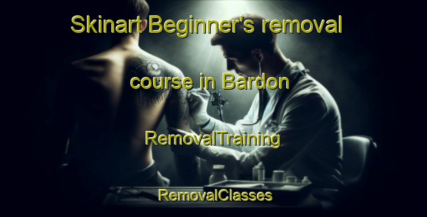 Skinart Beginner's removal course in Bardon | RemovalTraining | RemovalClasses | SkinartTraining-Australia