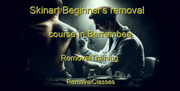 Skinart Beginner's removal course in Berrembea | RemovalTraining | RemovalClasses | SkinartTraining-Australia