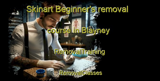 Skinart Beginner's removal course in Blayney | RemovalTraining | RemovalClasses | SkinartTraining-Australia