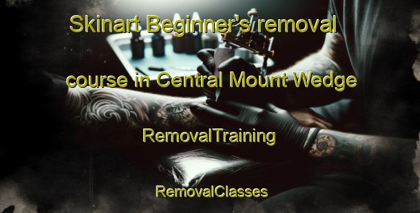 Skinart Beginner's removal course in Central Mount Wedge | RemovalTraining | RemovalClasses | SkinartTraining-Australia