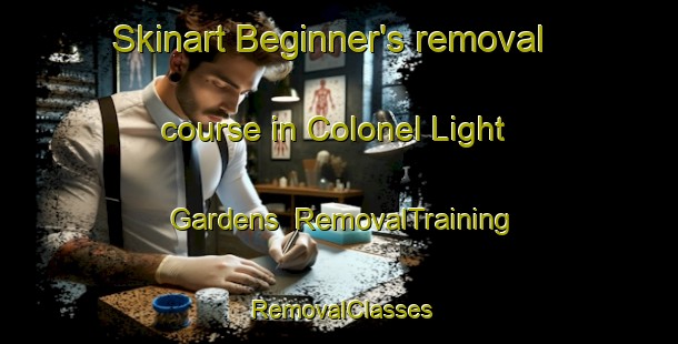 Skinart Beginner's removal course in Colonel Light Gardens | RemovalTraining | RemovalClasses | SkinartTraining-Australia