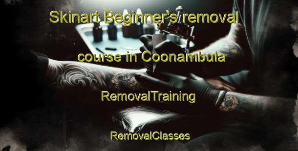 Skinart Beginner's removal course in Coonambula | RemovalTraining | RemovalClasses | SkinartTraining-Australia