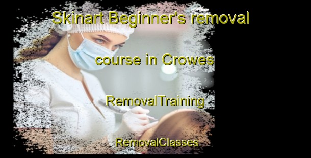 Skinart Beginner's removal course in Crowes | RemovalTraining | RemovalClasses | SkinartTraining-Australia