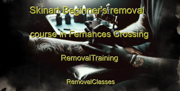 Skinart Beginner's removal course in Fernances Crossing | RemovalTraining | RemovalClasses | SkinartTraining-Australia