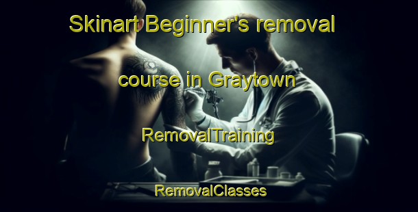 Skinart Beginner's removal course in Graytown | RemovalTraining | RemovalClasses | SkinartTraining-Australia