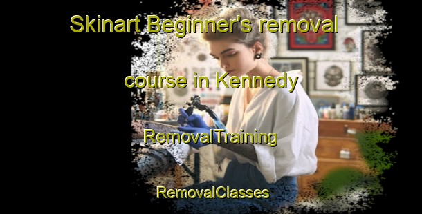 Skinart Beginner's removal course in Kennedy | RemovalTraining | RemovalClasses | SkinartTraining-Australia