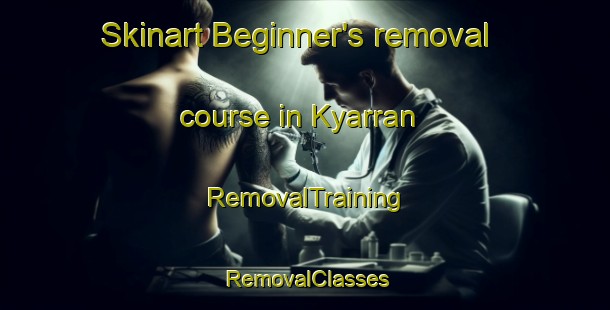 Skinart Beginner's removal course in Kyarran | RemovalTraining | RemovalClasses | SkinartTraining-Australia