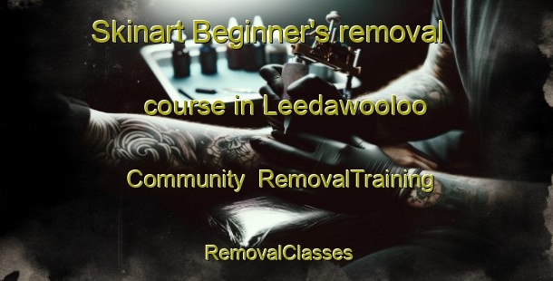 Skinart Beginner's removal course in Leedawooloo Community | RemovalTraining | RemovalClasses | SkinartTraining-Australia