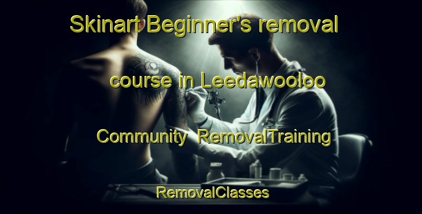 Skinart Beginner's removal course in Leedawooloo Community | RemovalTraining | RemovalClasses | SkinartTraining-Australia