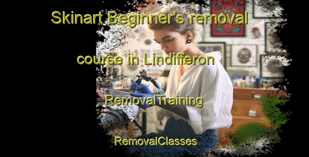 Skinart Beginner's removal course in Lindifferon | RemovalTraining | RemovalClasses | SkinartTraining-Australia