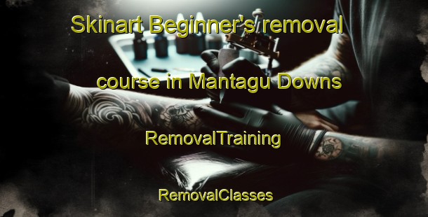 Skinart Beginner's removal course in Mantagu Downs | RemovalTraining | RemovalClasses | SkinartTraining-Australia