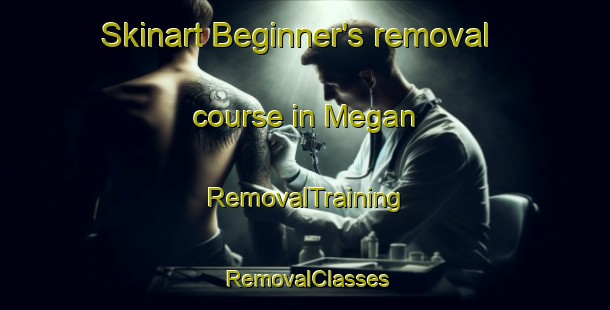 Skinart Beginner's removal course in Megan | RemovalTraining | RemovalClasses | SkinartTraining-Australia