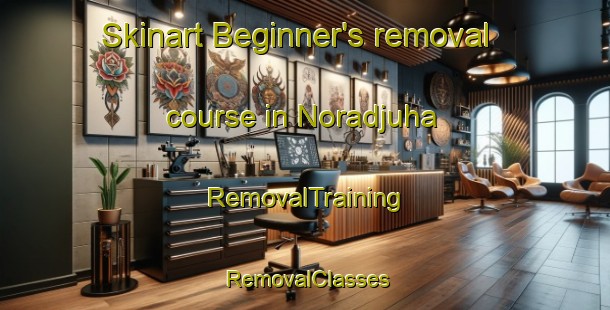 Skinart Beginner's removal course in Noradjuha | RemovalTraining | RemovalClasses | SkinartTraining-Australia
