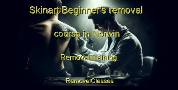 Skinart Beginner's removal course in Norwin | RemovalTraining | RemovalClasses | SkinartTraining-Australia