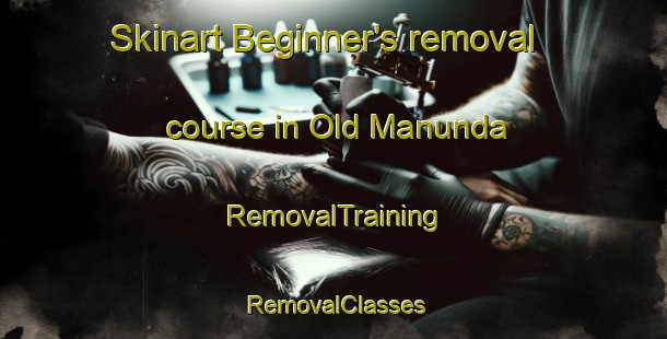 Skinart Beginner's removal course in Old Manunda | RemovalTraining | RemovalClasses | SkinartTraining-Australia