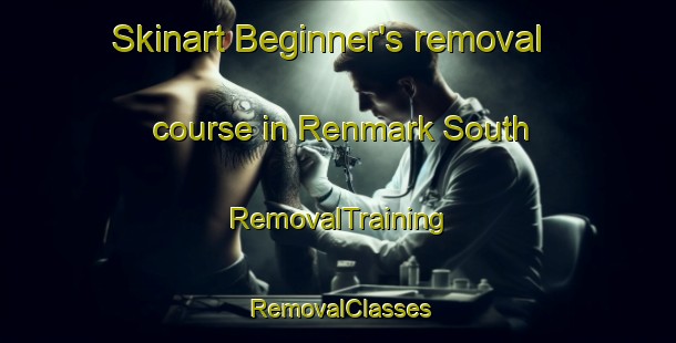 Skinart Beginner's removal course in Renmark South | RemovalTraining | RemovalClasses | SkinartTraining-Australia
