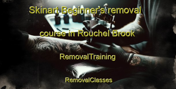 Skinart Beginner's removal course in Rouchel Brook | RemovalTraining | RemovalClasses | SkinartTraining-Australia