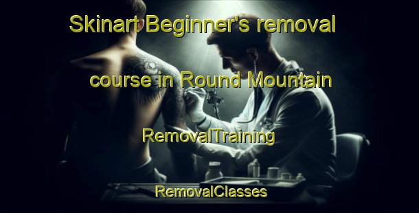 Skinart Beginner's removal course in Round Mountain | RemovalTraining | RemovalClasses | SkinartTraining-Australia