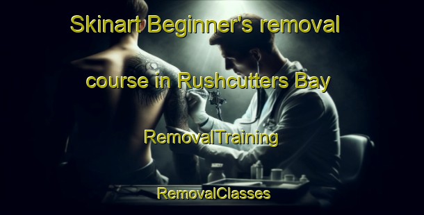 Skinart Beginner's removal course in Rushcutters Bay | RemovalTraining | RemovalClasses | SkinartTraining-Australia