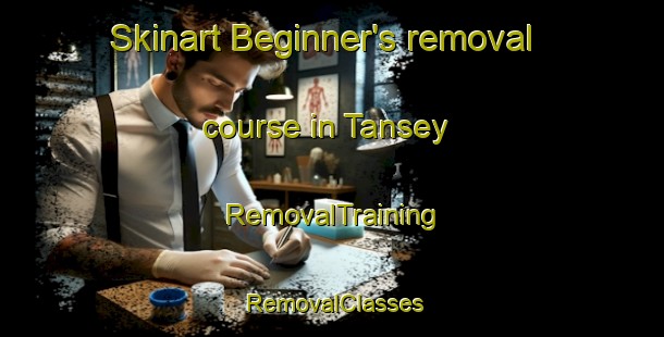 Skinart Beginner's removal course in Tansey | RemovalTraining | RemovalClasses | SkinartTraining-Australia