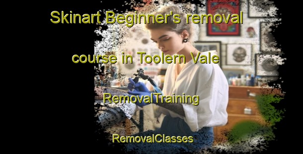 Skinart Beginner's removal course in Toolern Vale | RemovalTraining | RemovalClasses | SkinartTraining-Australia