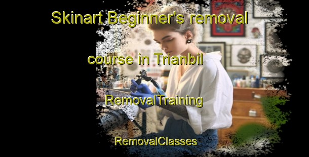 Skinart Beginner's removal course in Trianbil | RemovalTraining | RemovalClasses | SkinartTraining-Australia