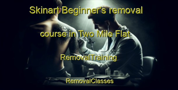 Skinart Beginner's removal course in Two Mile Flat | RemovalTraining | RemovalClasses | SkinartTraining-Australia