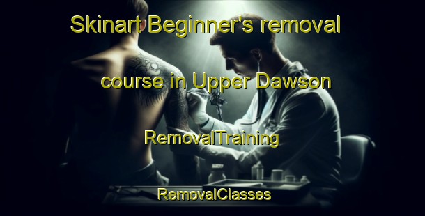 Skinart Beginner's removal course in Upper Dawson | RemovalTraining | RemovalClasses | SkinartTraining-Australia