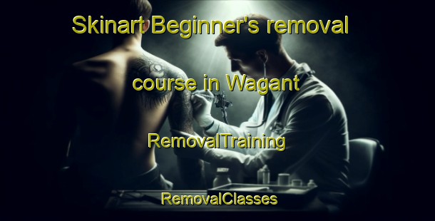 Skinart Beginner's removal course in Wagant | RemovalTraining | RemovalClasses | SkinartTraining-Australia