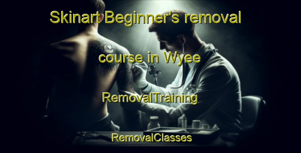 Skinart Beginner's removal course in Wyee | RemovalTraining | RemovalClasses | SkinartTraining-Australia